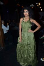 at Designer Aarti Vijay Gupta showcases collection in Rude Lounge on 30th Jan 2012 (4).JPG